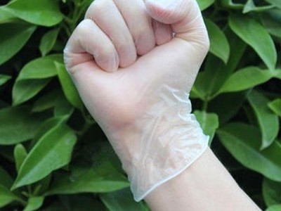 Polyvinyl Gloves