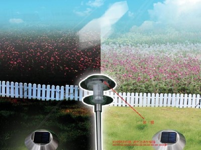 LED Light
