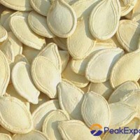 shine skin pumpkin seed