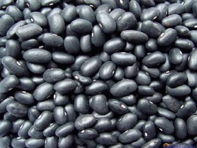 Small black kidney bean
