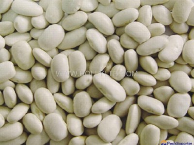 white kidney bean- medium