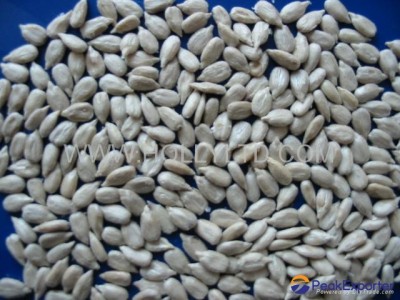 sunflower seeds kernels-bakery