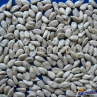 sunflower seeds kernels-bakery