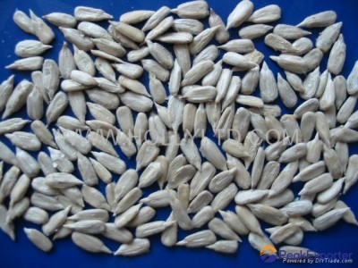 sunflower seeds kernels-confectionery