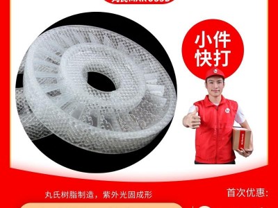 Translucent Resin Printing Service