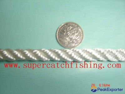 WHITE/TWISTED NYLON ROPE
