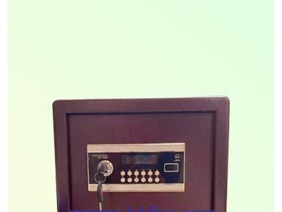 DZ-250 Safe Box