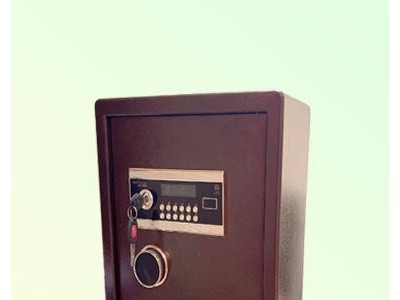 DZ-450 Safe Box