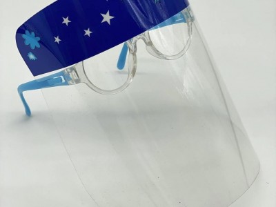 Fashion Protective Isolation Mask Face Glass Shield