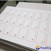 RFID Inlay Prelams 2 x 5 format