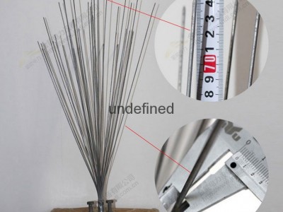 Bird control device/spike
