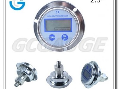 Digital Pressure Gauges