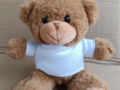 OEM ODM tedy bear custom 16cm small teddy bear mini bulk with t-shirt