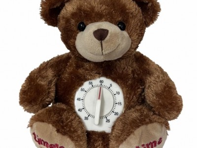 Timer Teddy Bear