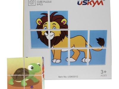 9pcs magnetic cartoon Plastic Cubes educational magnetic toys