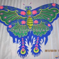 2009  Butterfly