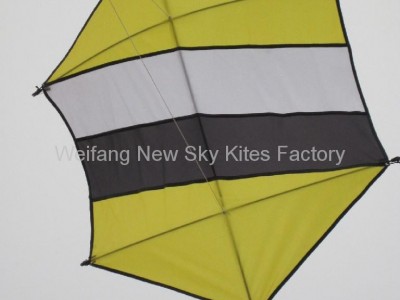 7006 Hexagon kite