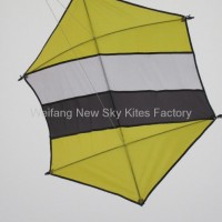 7006 Hexagon kite