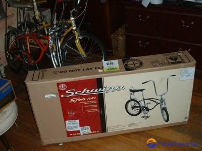 Schwinn Krate EVO bike