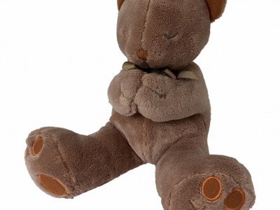Prayer Teddy Bear