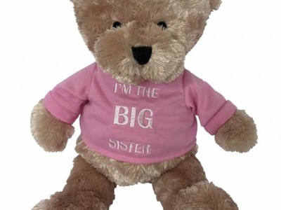 1st Big Sister Teddy Bear