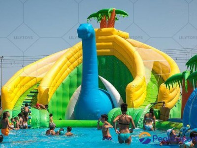 Large Inflatable Water Slides, Inflatable Dual Lane Slides