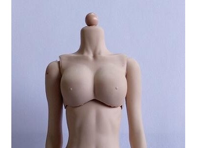 1/6 of the actin female body