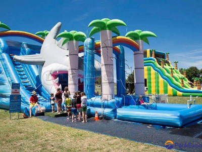 Lilytoys newest sea world shark theme inflatable water pool slides