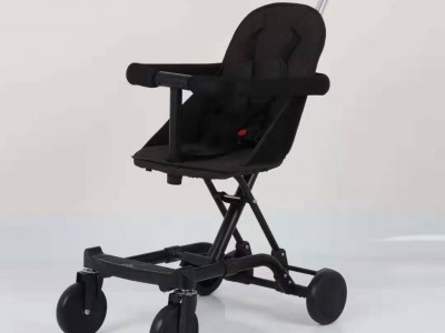 baby push chair