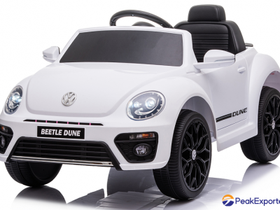 R/C Licensed Beetle Dune