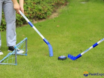 Hovering Hockey Game