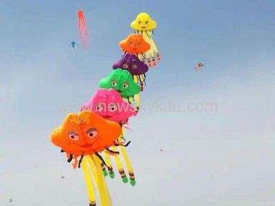 3128 Small Jellyfish