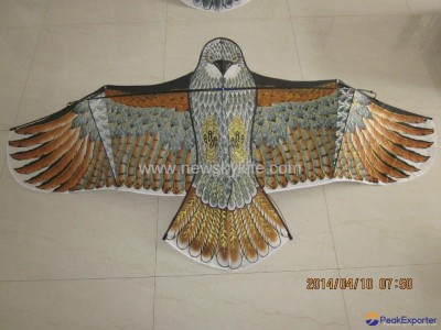 1880 Eagle