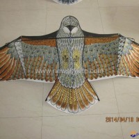 1880 Eagle