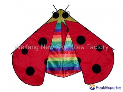 7026 Lady bug