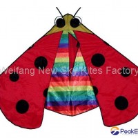 7026 Lady bug