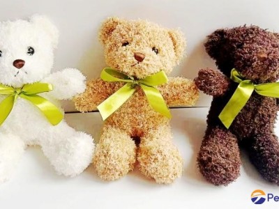 25CM classic and lovely three color teddy bear with bow for children