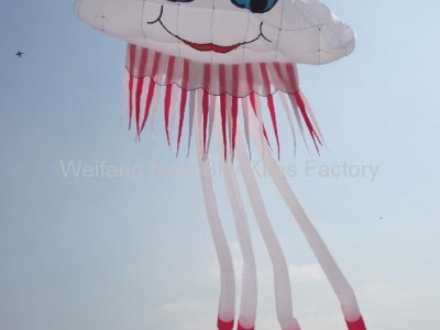 3228 Jellyfish