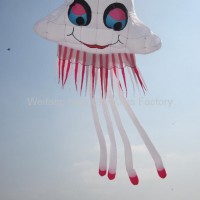 3228 Jellyfish
