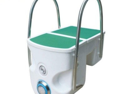 Wall hanging swimming pool filter