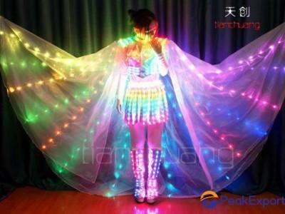 Wireless DMX512 LED Butterfly Wings Dresses