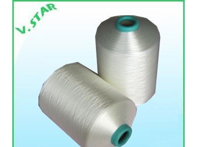 Nylon 66 FDY HT Twisted Yarn