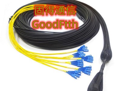 Fiber Patch Cord SC FC LC ST MTRJ MU E2000 SM G652D G655 G657 GoodFtth