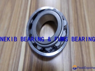 Low Noise Cylindrical Roller Bearing NJ 2207 Chrome Steel For Machinery