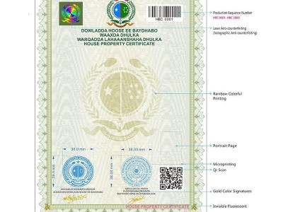 Custom Gold Certificate Security Paper A4