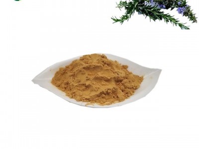 Rosemary extract carnosic acid 20%