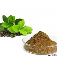 Green Tea extract tea polyphenols