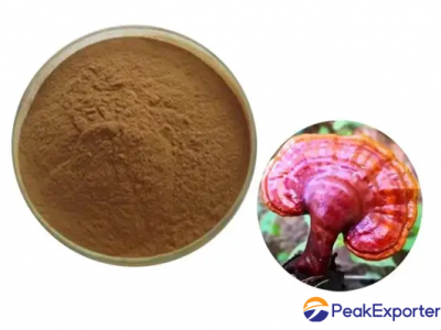 Ganoderma extract