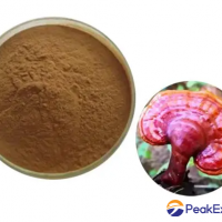 Ganoderma extract