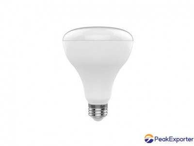 BR30 Lamp